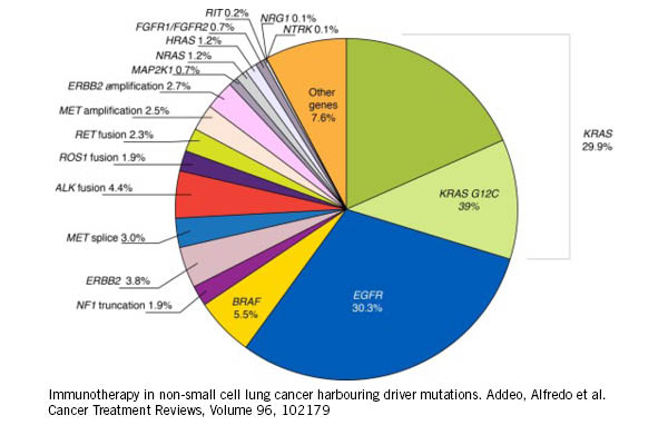 Different Biomarkers for Lung Cancer Treatment